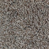 Horizon CarpetRevealing Beauty